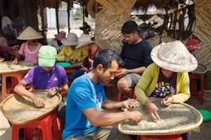 Hạt cà phê dưới chân núi Ka Đơn